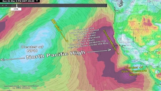 WeatherFlow Project Update: North Pacific High's Impact on Local Wind Patterns