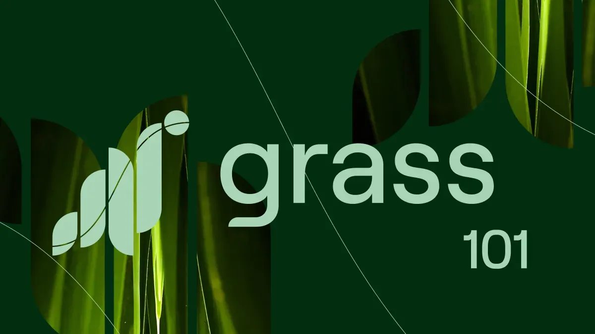 Grass 101: How It Works